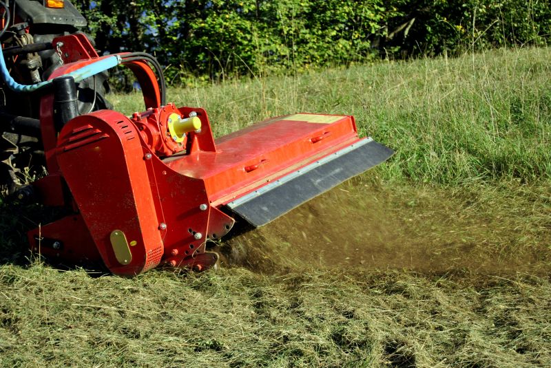 Overgrown Land Before Bush Hogging