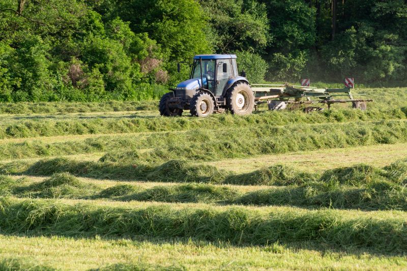 Vegetation Being Cut