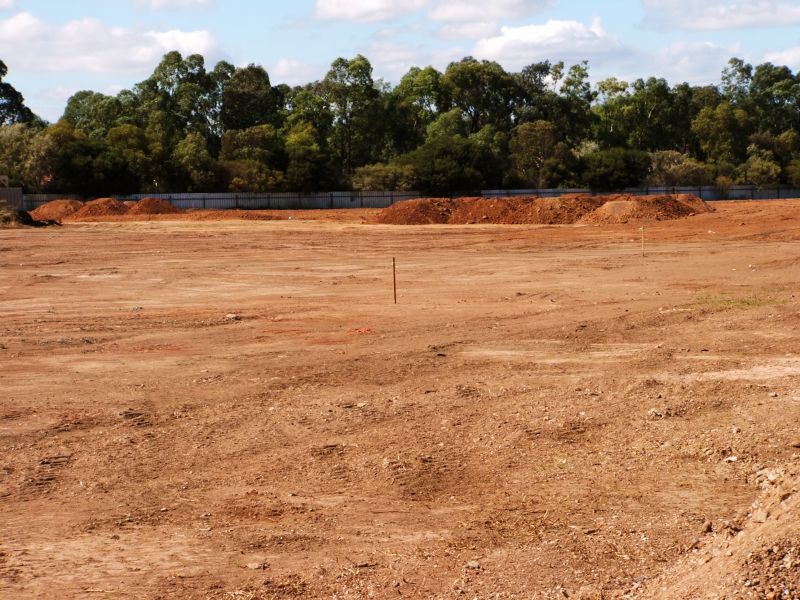 Cleared Land Post-Mowing