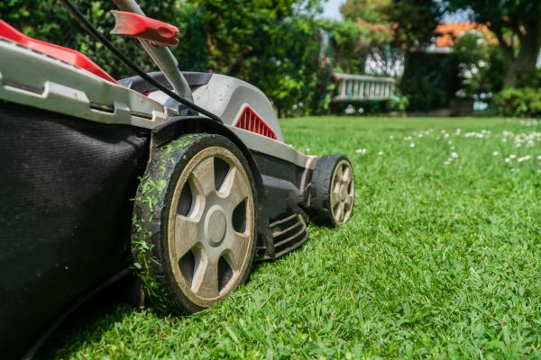 Grow your Rough Mowing business